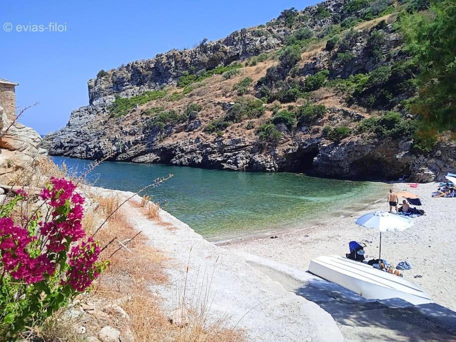 Παραθαλασσιο Σπιτι Στην Εξοχη Villa Tsakei Luaran gambar