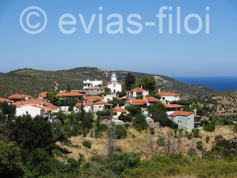 Παραθαλασσιο Σπιτι Στην Εξοχη Villa Tsakei Luaran gambar