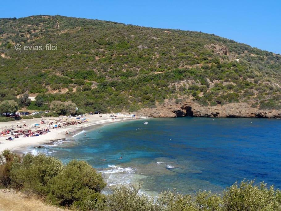 Παραθαλασσιο Σπιτι Στην Εξοχη Villa Tsakei Luaran gambar